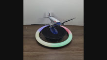 Load and play video in Gallery viewer, Douglas DC-3 Authentically Scaled Die-Cast Replica

