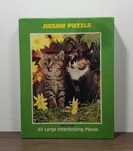 Load image into Gallery viewer, The Rainbow Works, Babes, 63 Piece, &quot;Curious Kittens&quot; Puzzles
