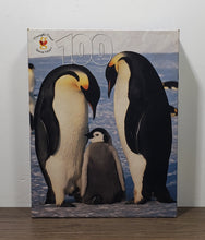 Load image into Gallery viewer, Merrigold Press &quot;Penguins&quot; 100 Piece Puzzle
