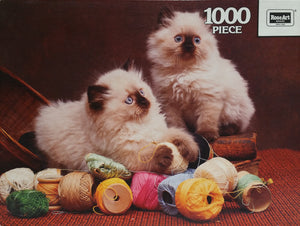 Prestige 1000pc. Puzzle Seal Point Persian Kittens - Masolut Superstore