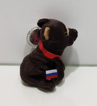 Load image into Gallery viewer, International Coca-Cola Bean Bag Plush Collection &quot;Barris The Bear&quot;
